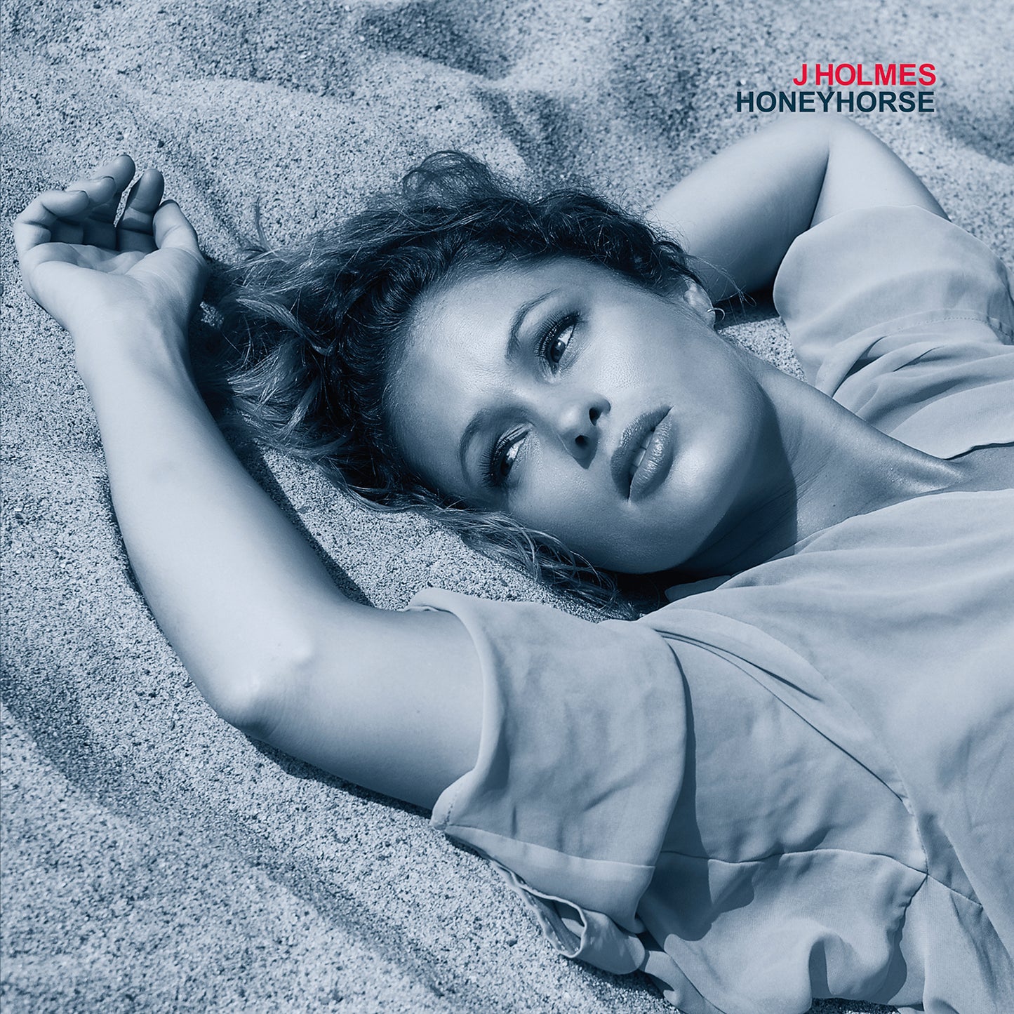 J Holmes - HONEYHORSE